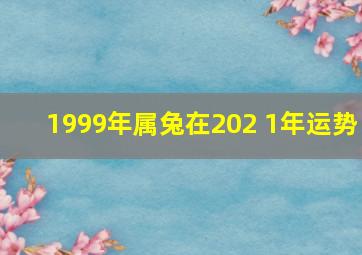 1999年属兔在202 1年运势